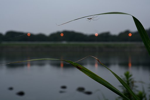 灯り２