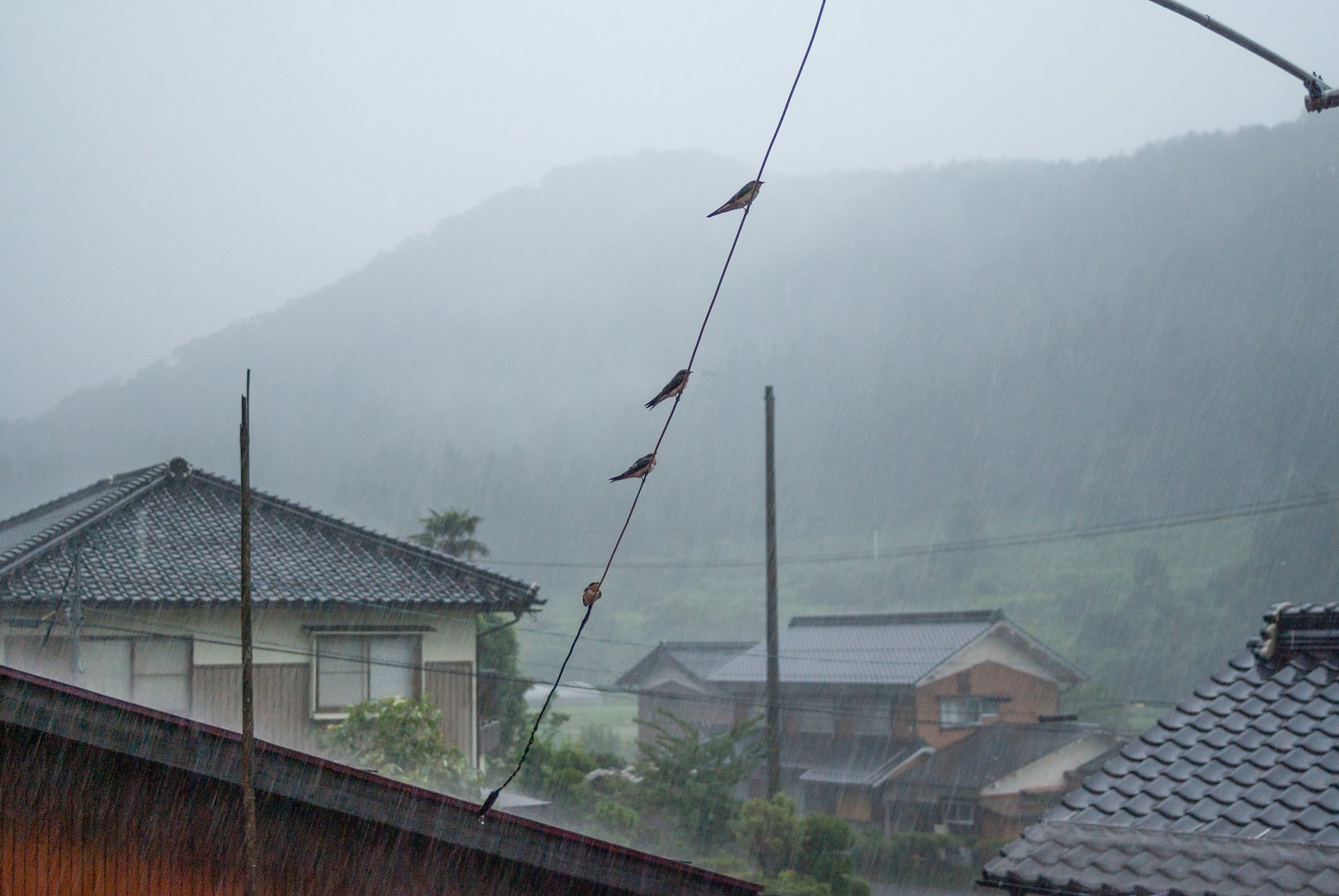避難・・。