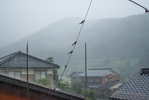 避難・・。