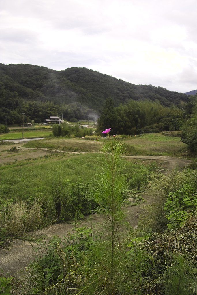 四国山海