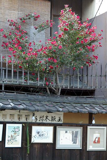 祇園の景色その４