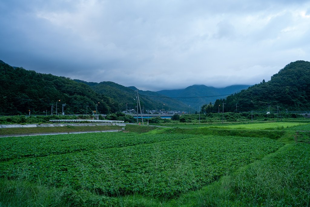 暗い曇り空・・。