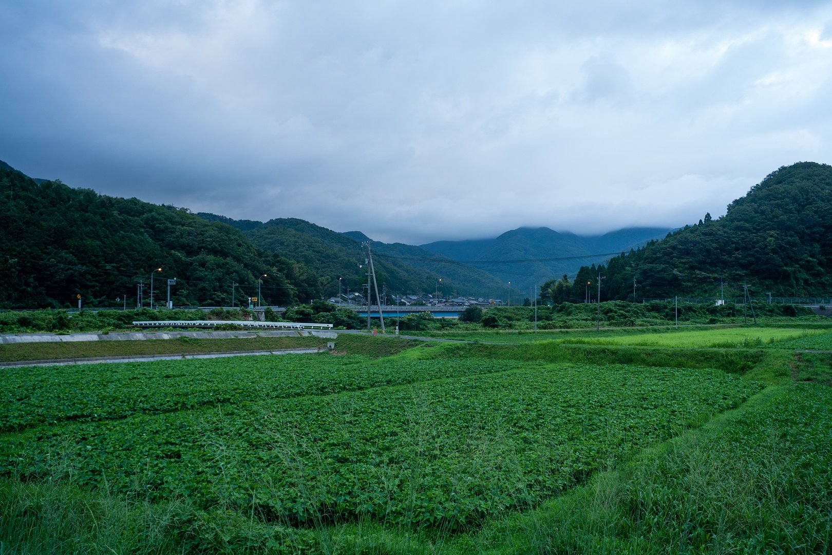 暗い曇り空・・。