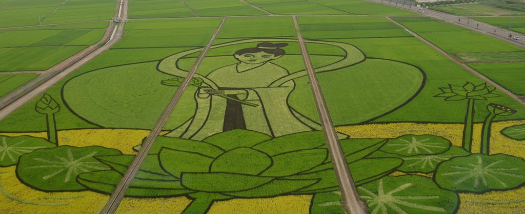 田んぼアート