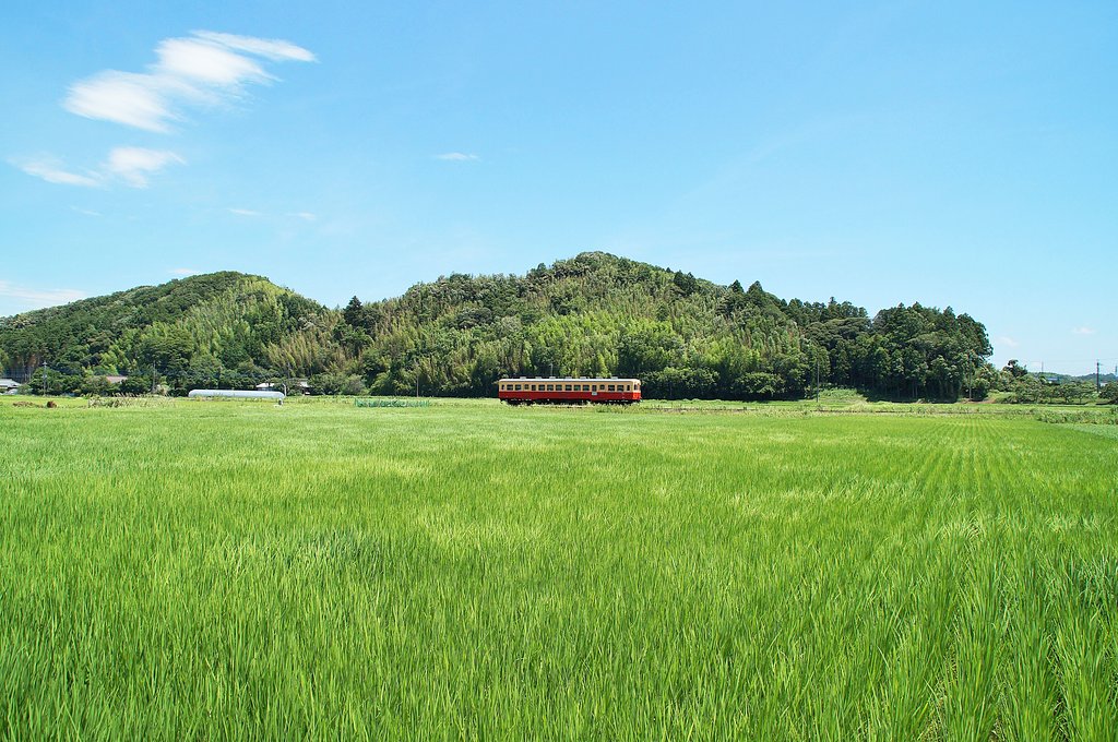 【夏】　夏のローカル線