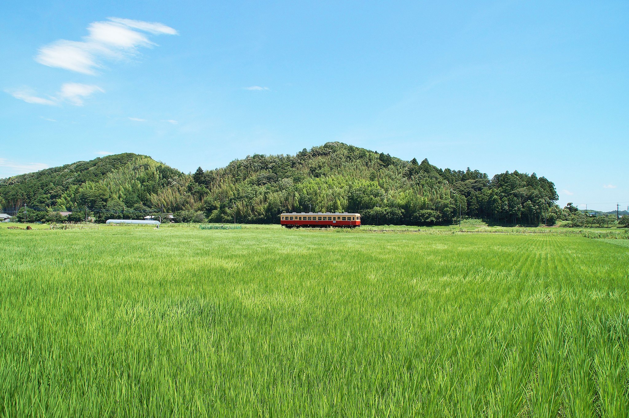 【夏】　夏のローカル線
