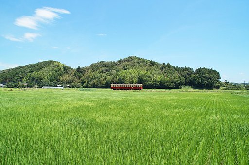 【夏】　夏のローカル線