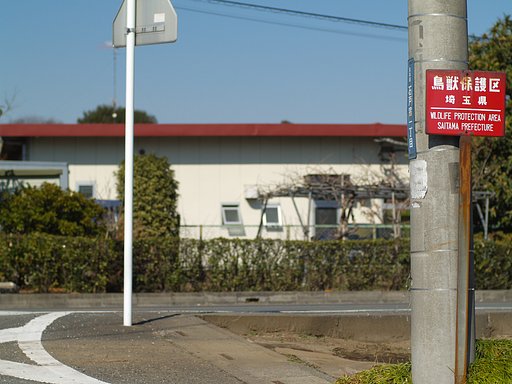 赤は?
