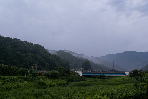 雨上がりの朝。