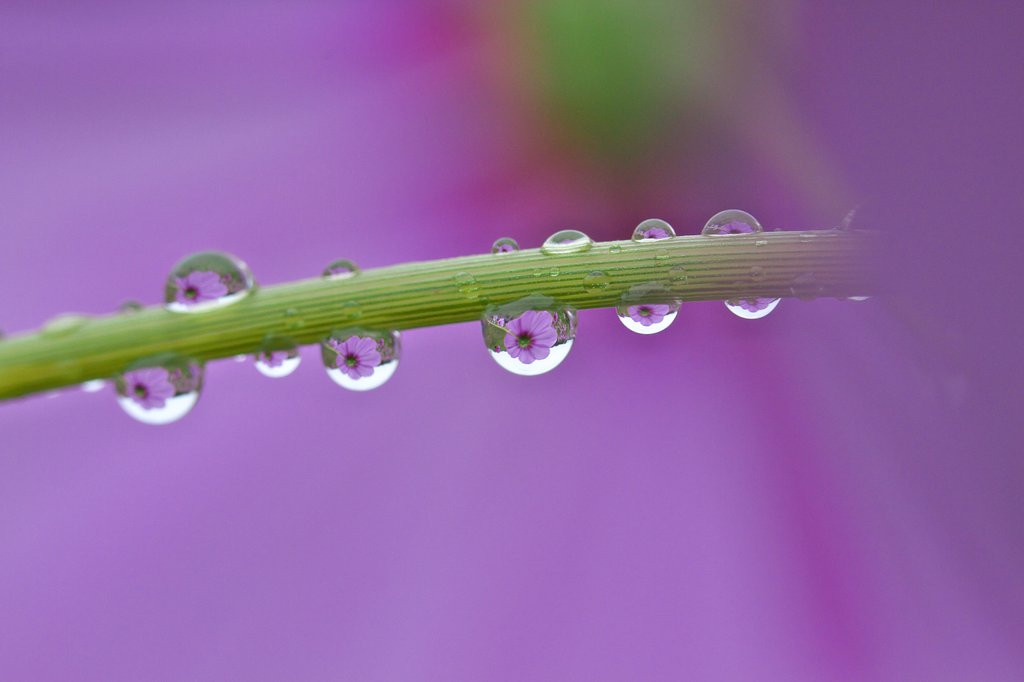 雨の日は・・
