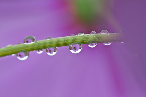 雨の日は・・