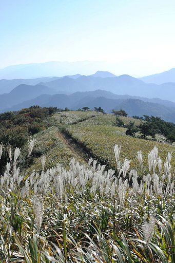 【風を感じて】秋の蒜山