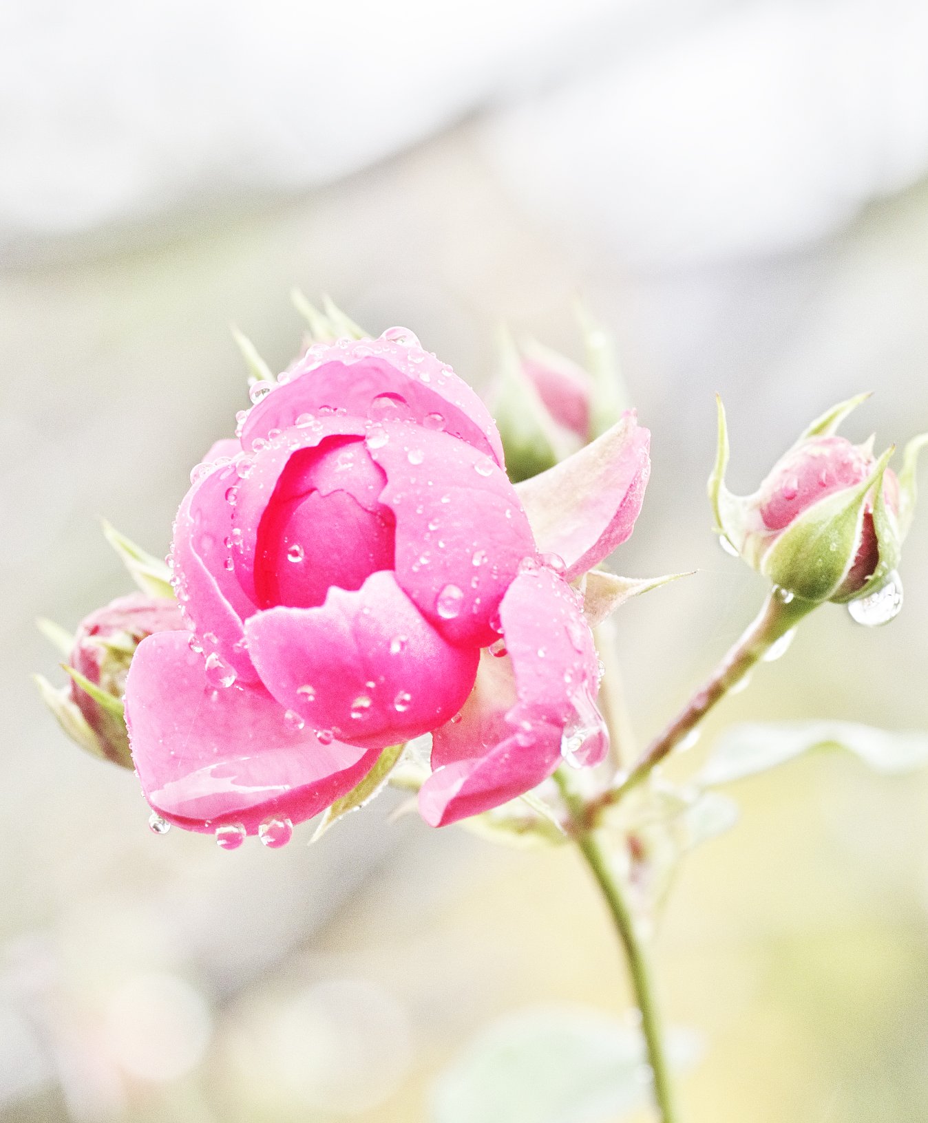雨でも２