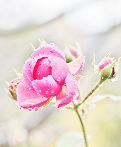 雨でも２