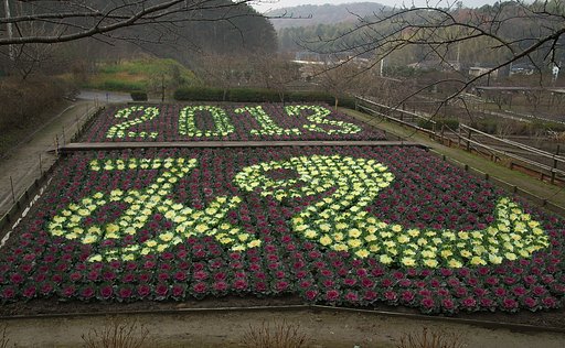 来年の干支