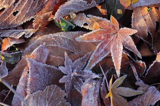 秋、完結