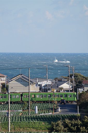 冬の海辺をゆく