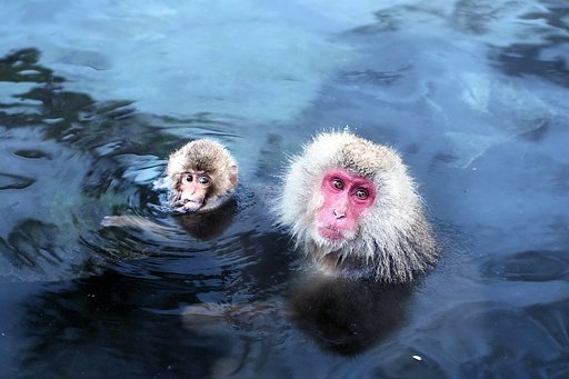 【思い出の写真】 日本浴 ２！