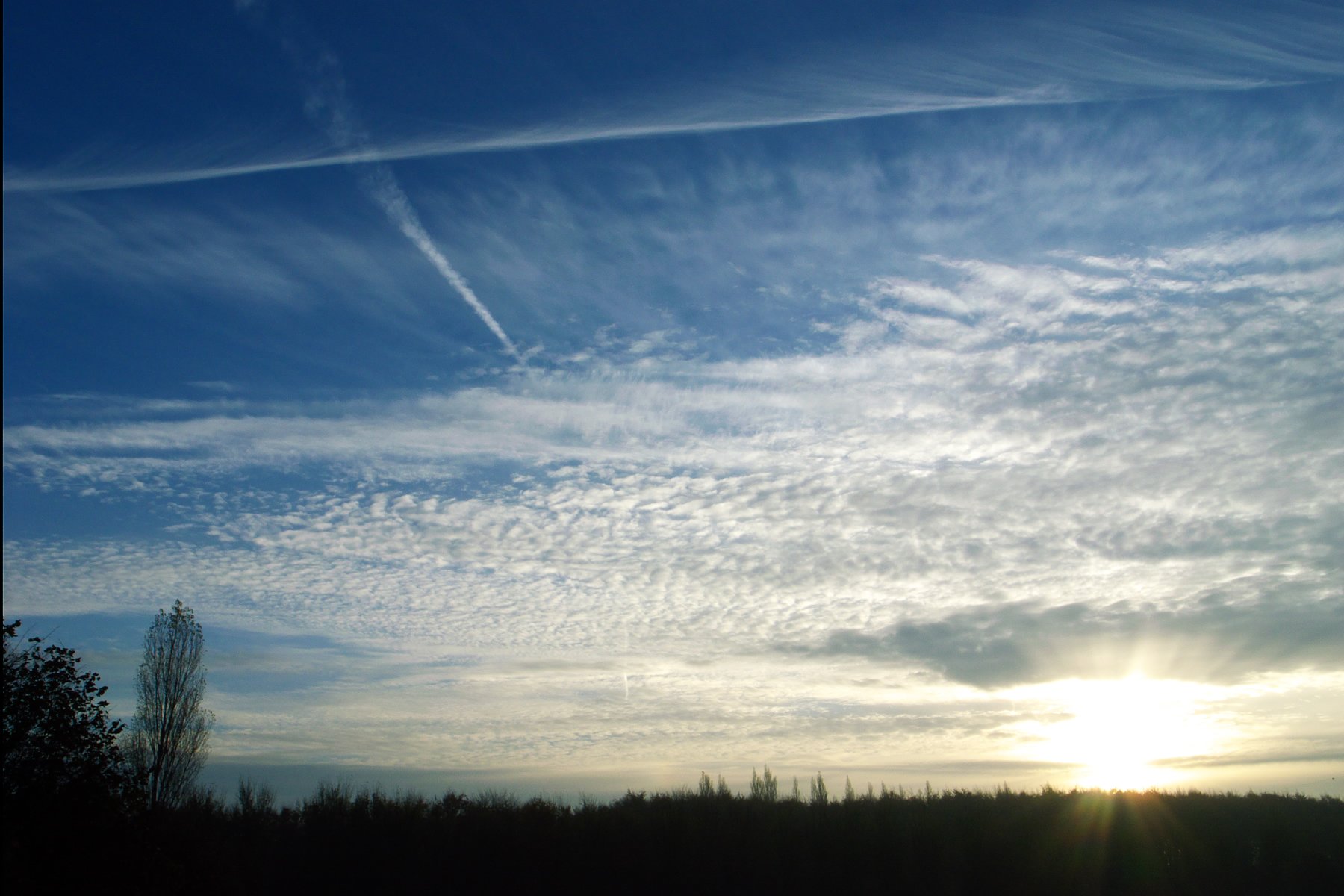 Ｔｈｅ Ｓｕｎｒｉｓｅ