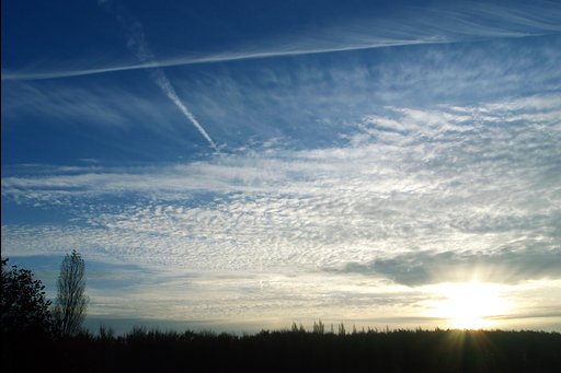 Ｔｈｅ Ｓｕｎｒｉｓｅ