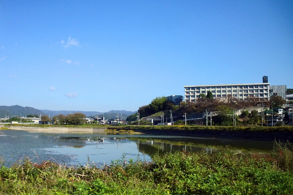 秋晴れ