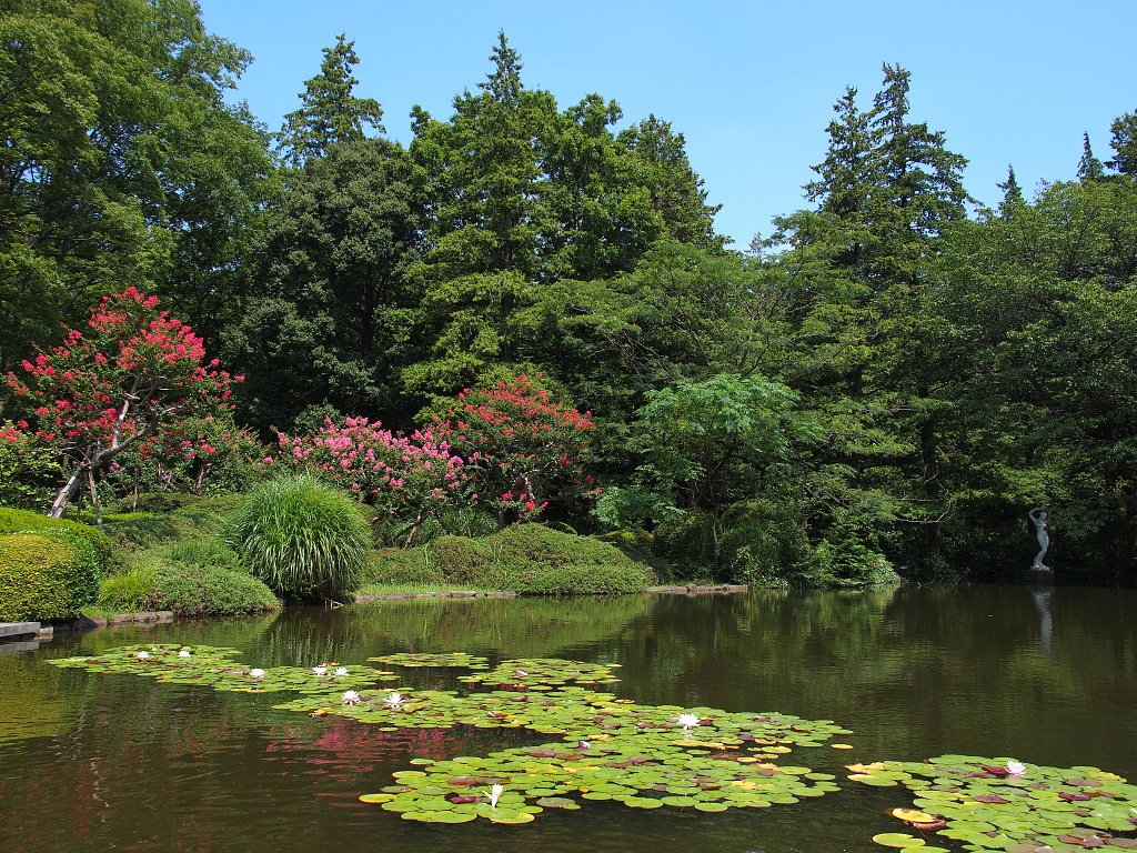 夏色の緑園