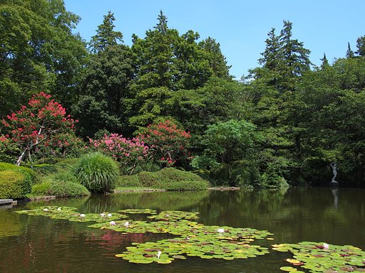 夏色の緑園