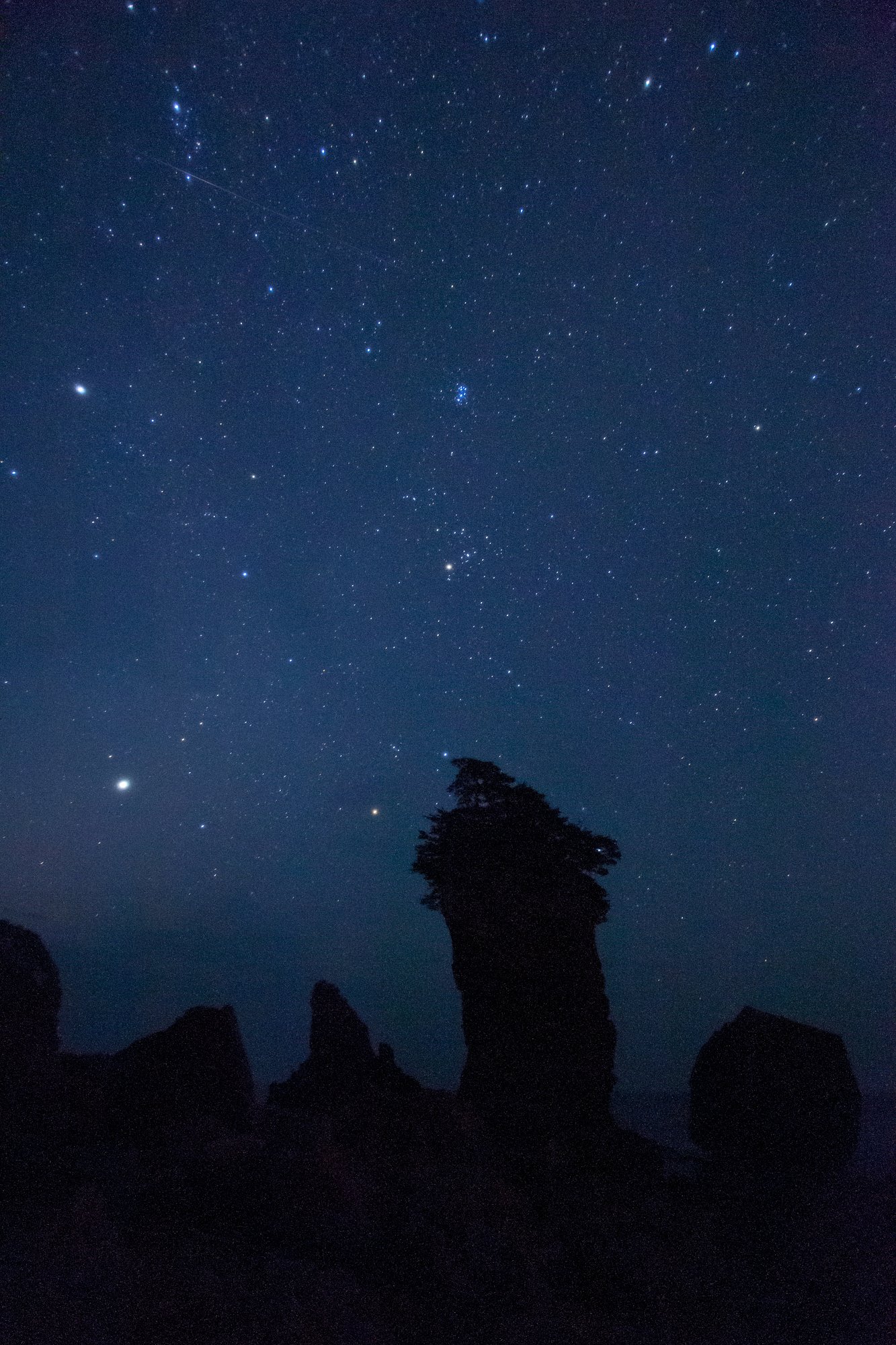 ペルセウス流星群