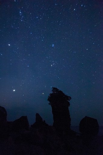ペルセウス流星群