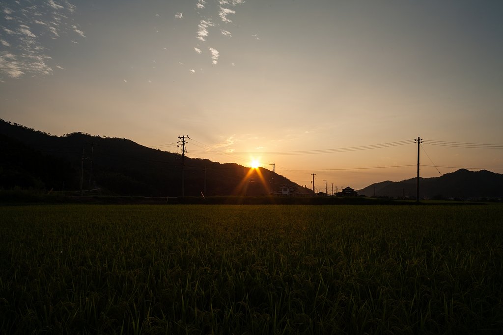 夕焼けが見られました。