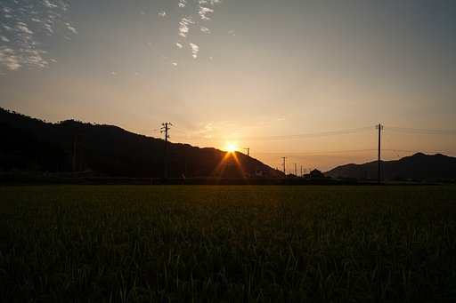 夕焼けが見られました。