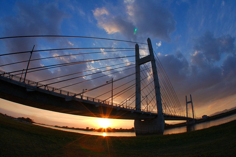 Bridge