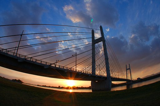 Bridge