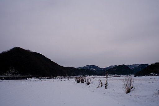 暗い曇り空の朝。