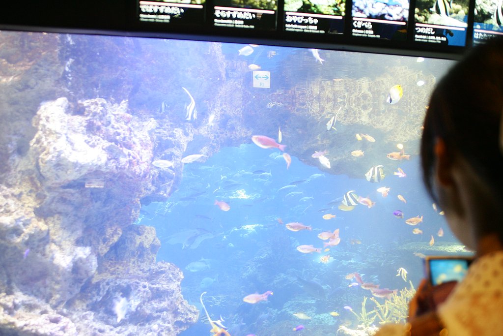 水族館
