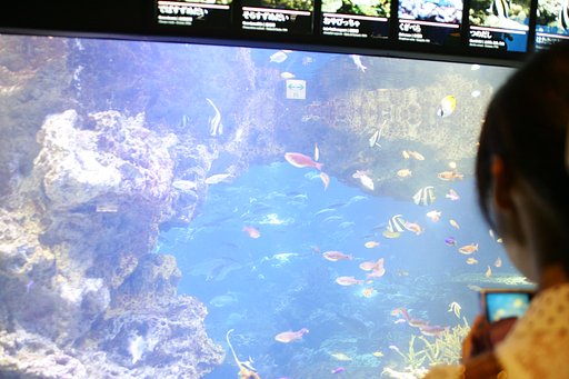水族館