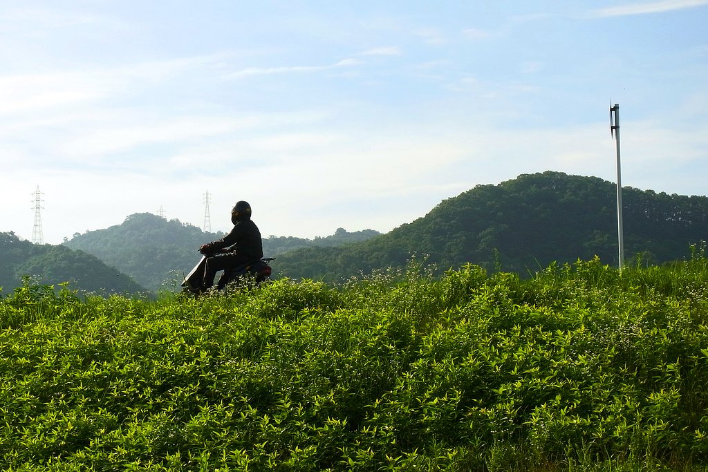 朝を駆ける