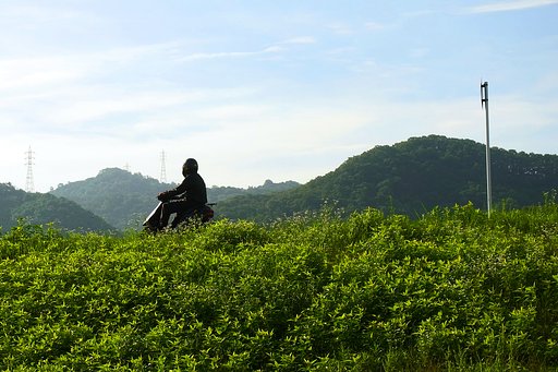 朝を駆ける