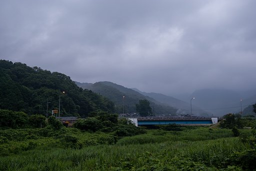 霧の様な雨朝・・。