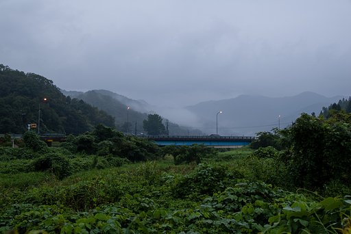 雨降りの朝・・。