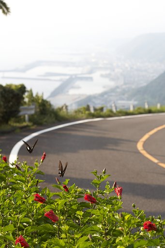四国山海