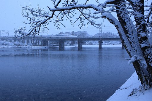 雪の景色を求めに
