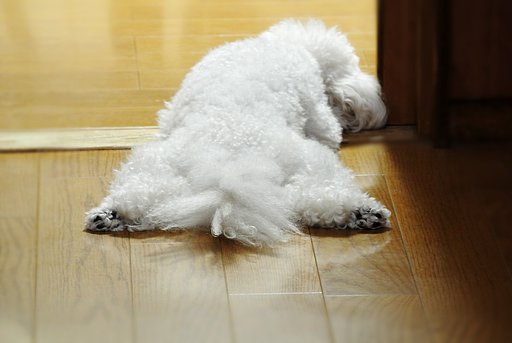 ごめんね〜