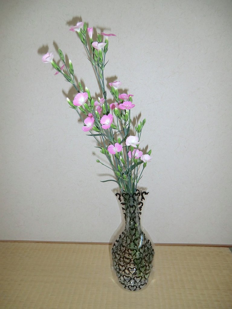 ナデシコと不思議な花瓶