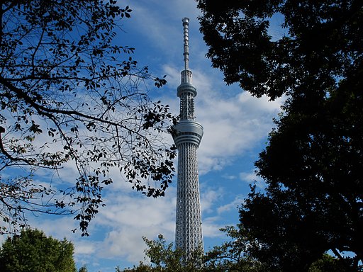 墨田公園にて