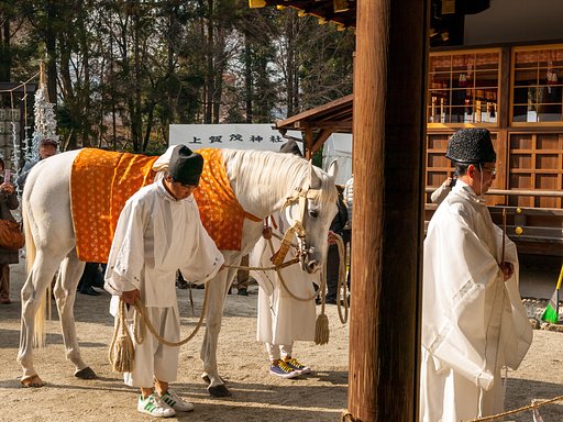 上賀茂神社、牽馬の儀(白馬奏覧神事)