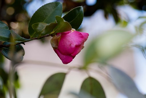 1月7日の写真