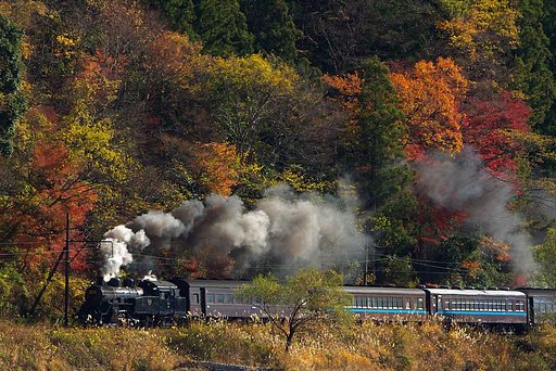 『逆』川の流れに逆ってことで・・・