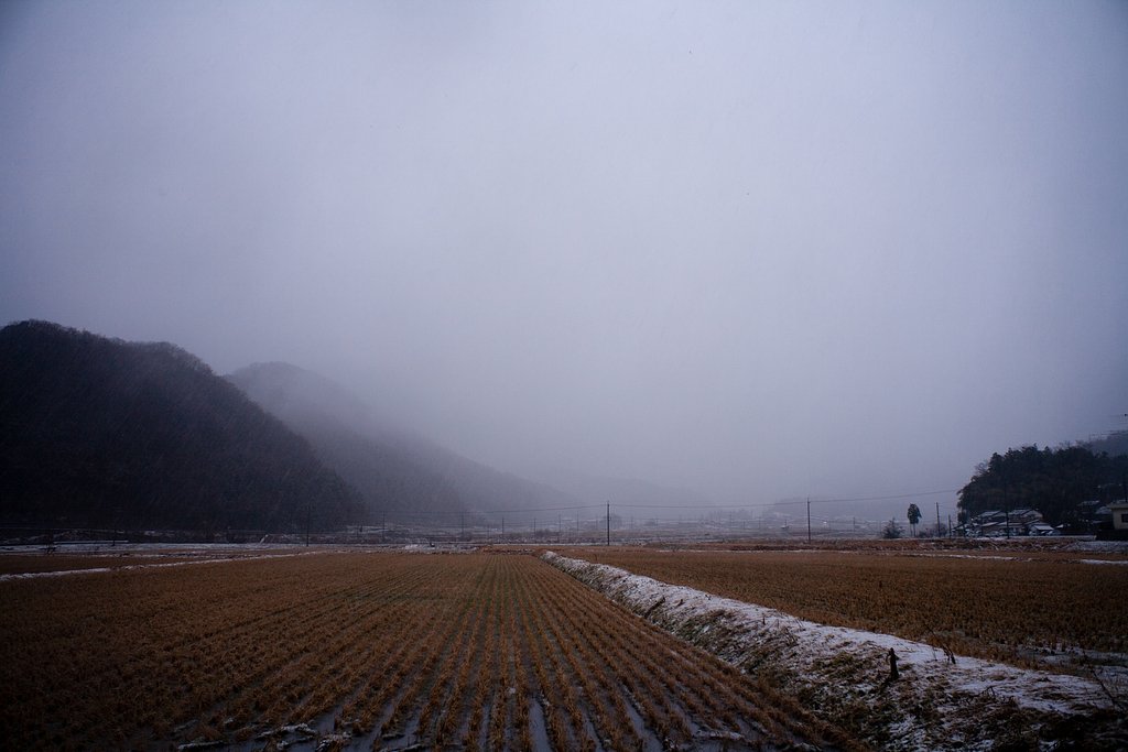 水っぽい雪降り・・。