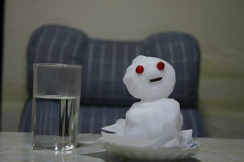 ようこそ♪